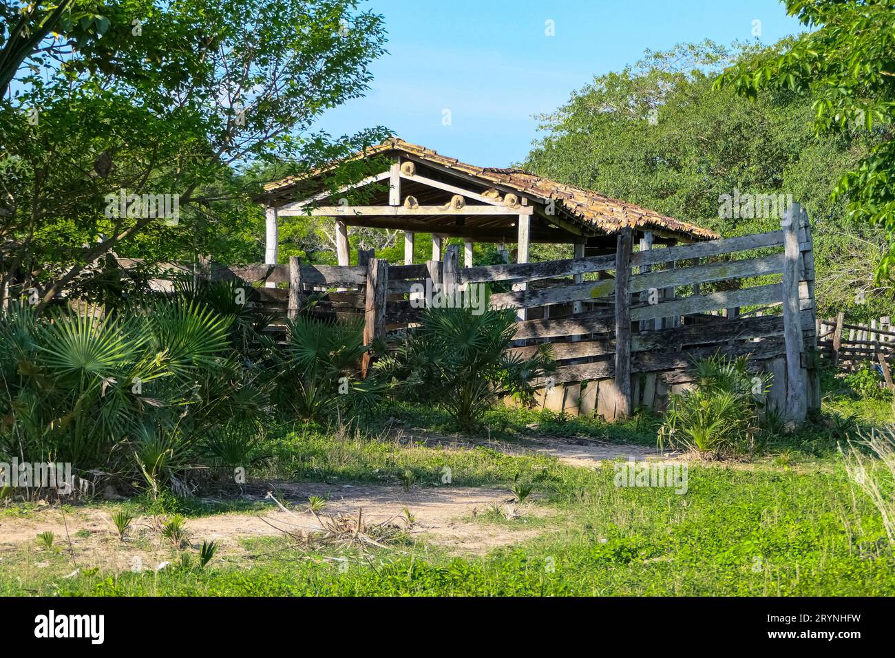 Idyllic horse barn with corral of a Pantanal farm in sunlight and shadow, Mato Grosso, Brazil Stock Photo