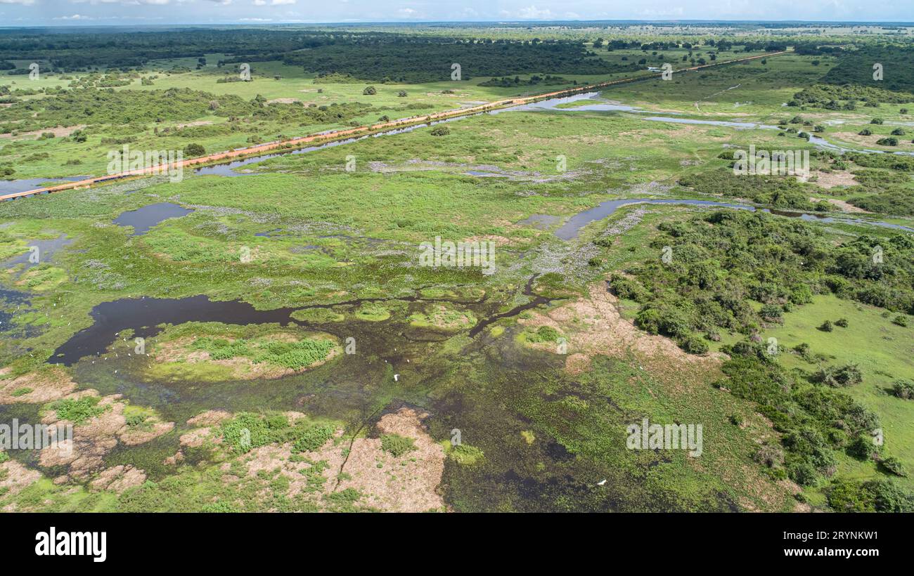 Aerial View Of Wonderful Pantanal Wetlands Landscape With aerial-view-of-wonderful-pantanal-wetlands-landscape-with