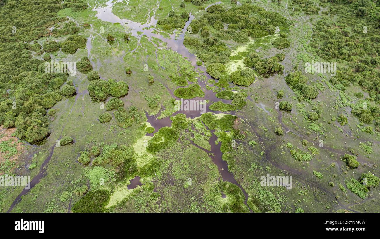 Mato gross cerrado hi-res stock photography and images - Alamy