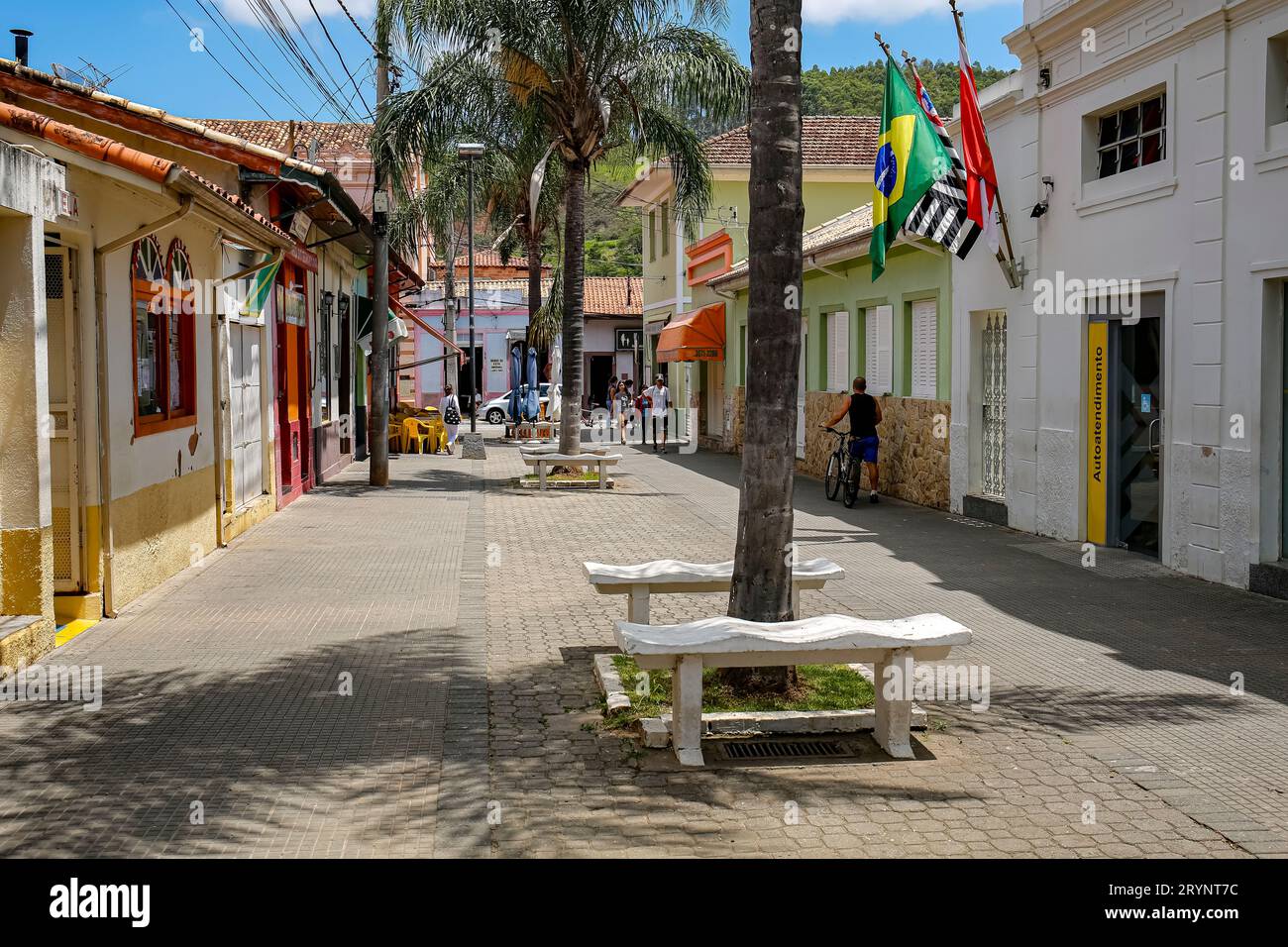 View to a pedestrian street with palm trees, benches and traditional houses in historical town SÃ£o L Stock Photo