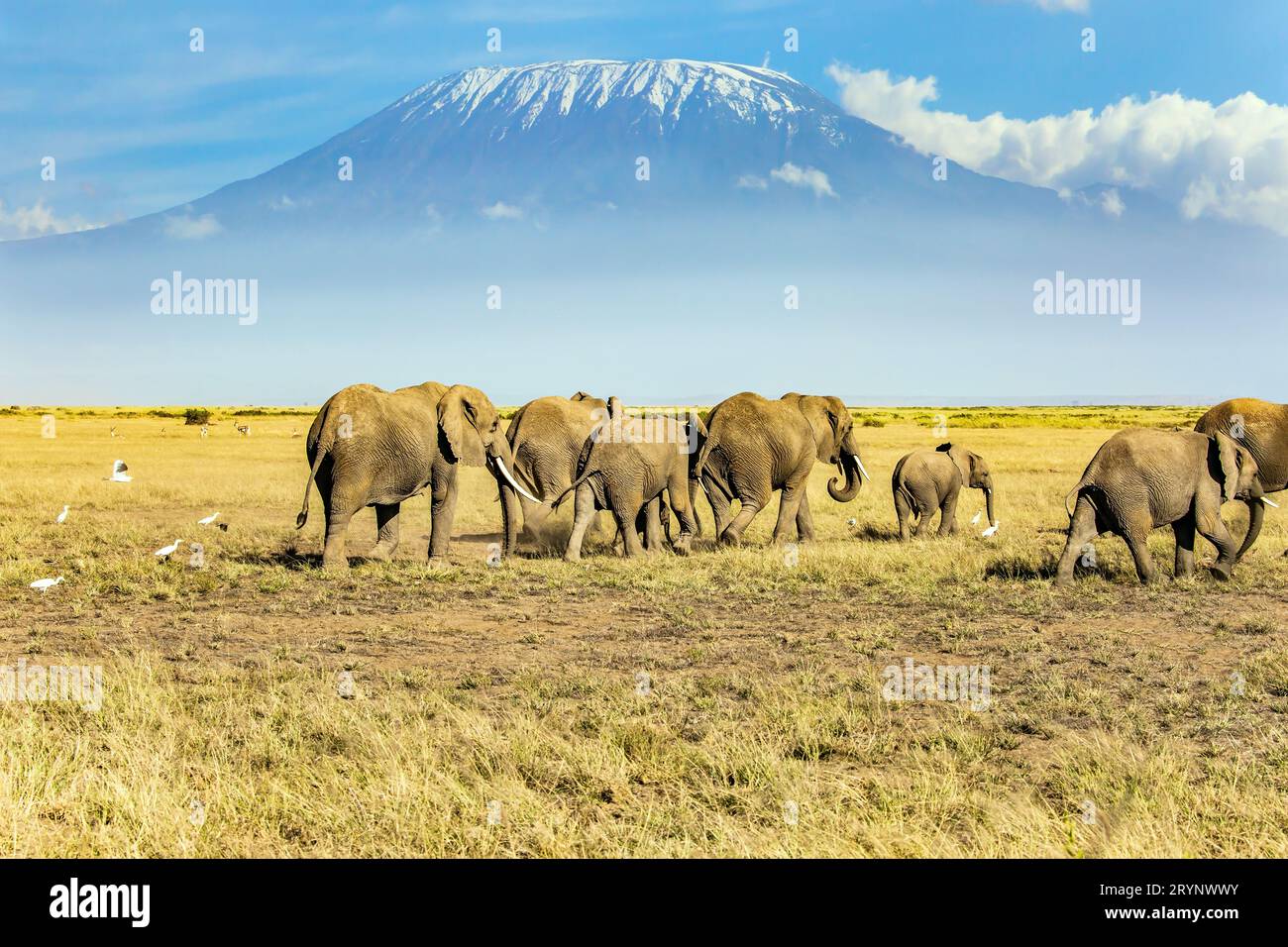 African hiking hi-res stock photography and images - Alamy