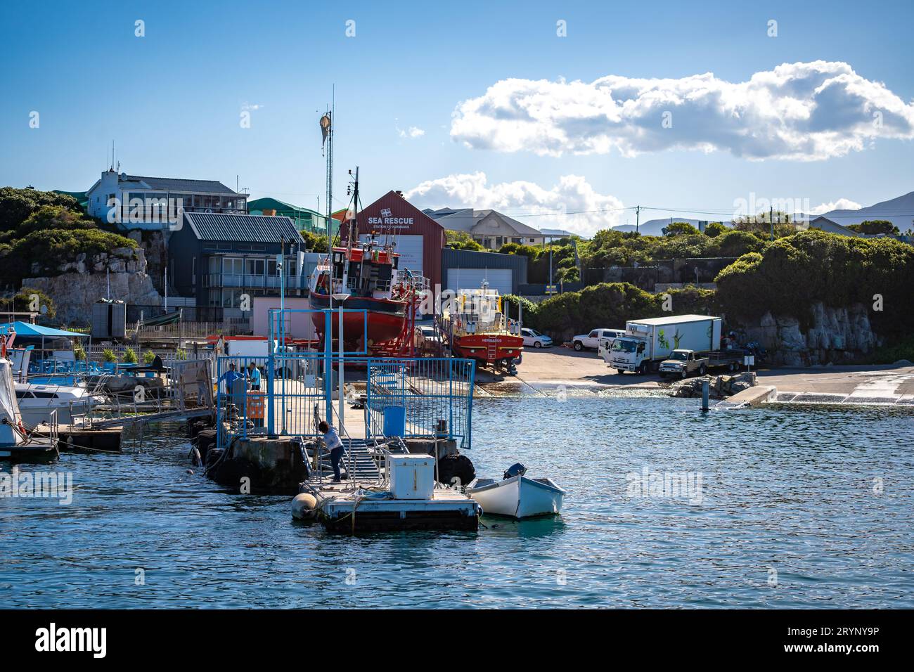 Whales watching from the cruise boat, in Hermanus, Grotto beach, South Africa Stock Photo