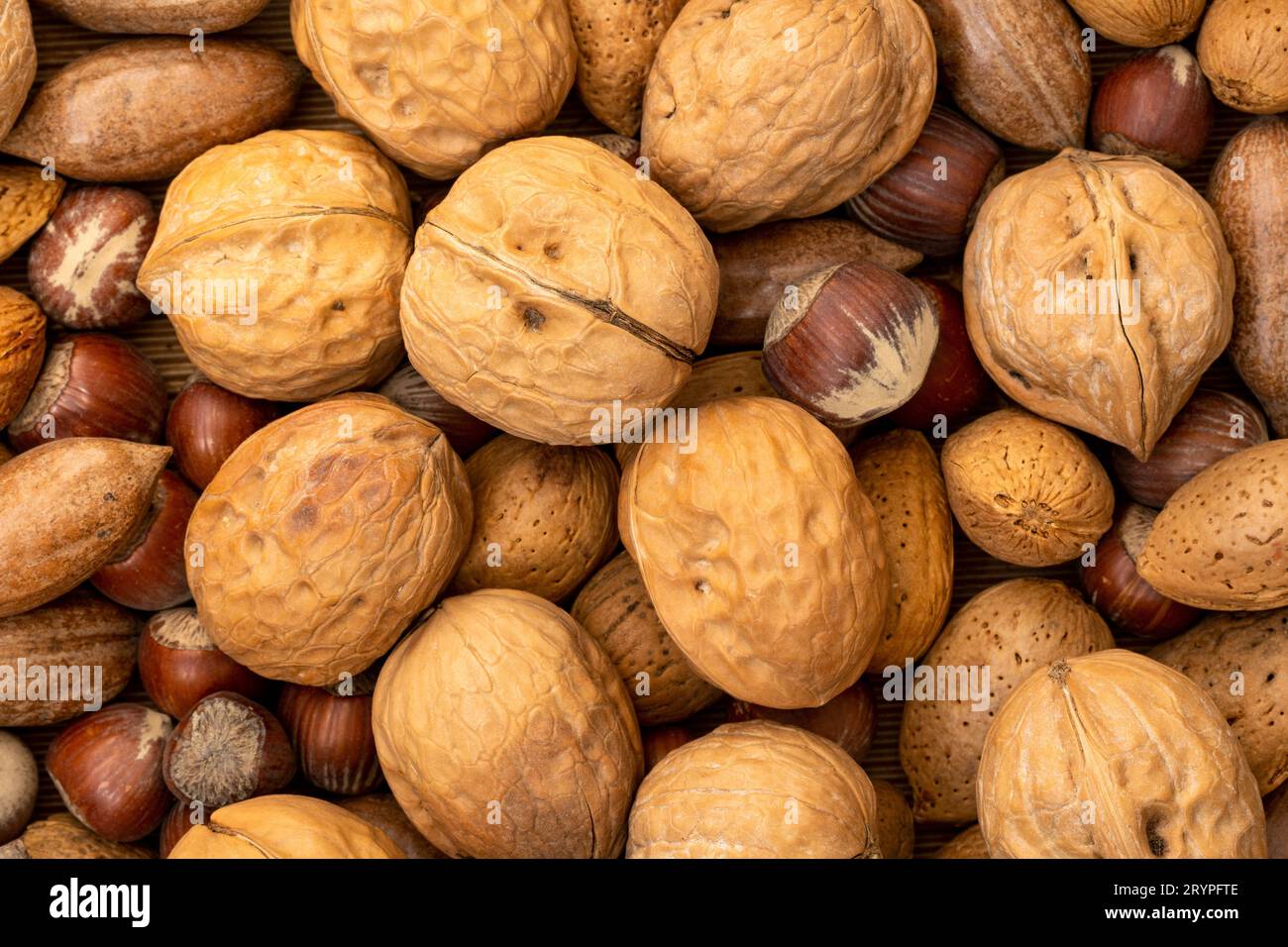 Selection Of Different Types Of Nuts Stock Photo Alamy Selection Of Different Types Of Nuts 2RYPFTE