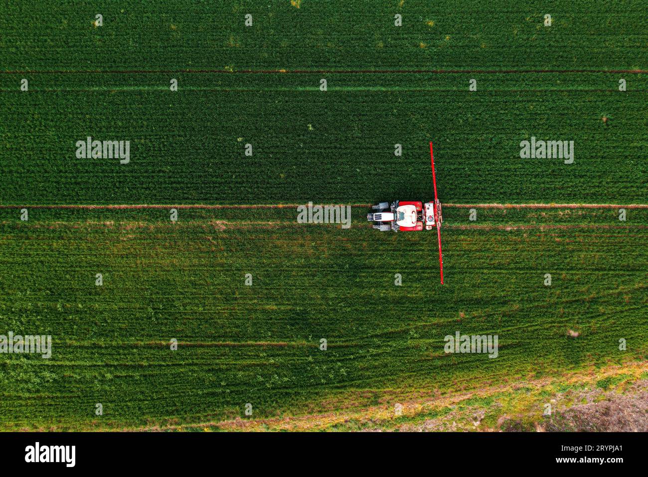 Aerial shot of tractor with crop sprayer attached in wheat grass field, drone pov top view Stock Photo