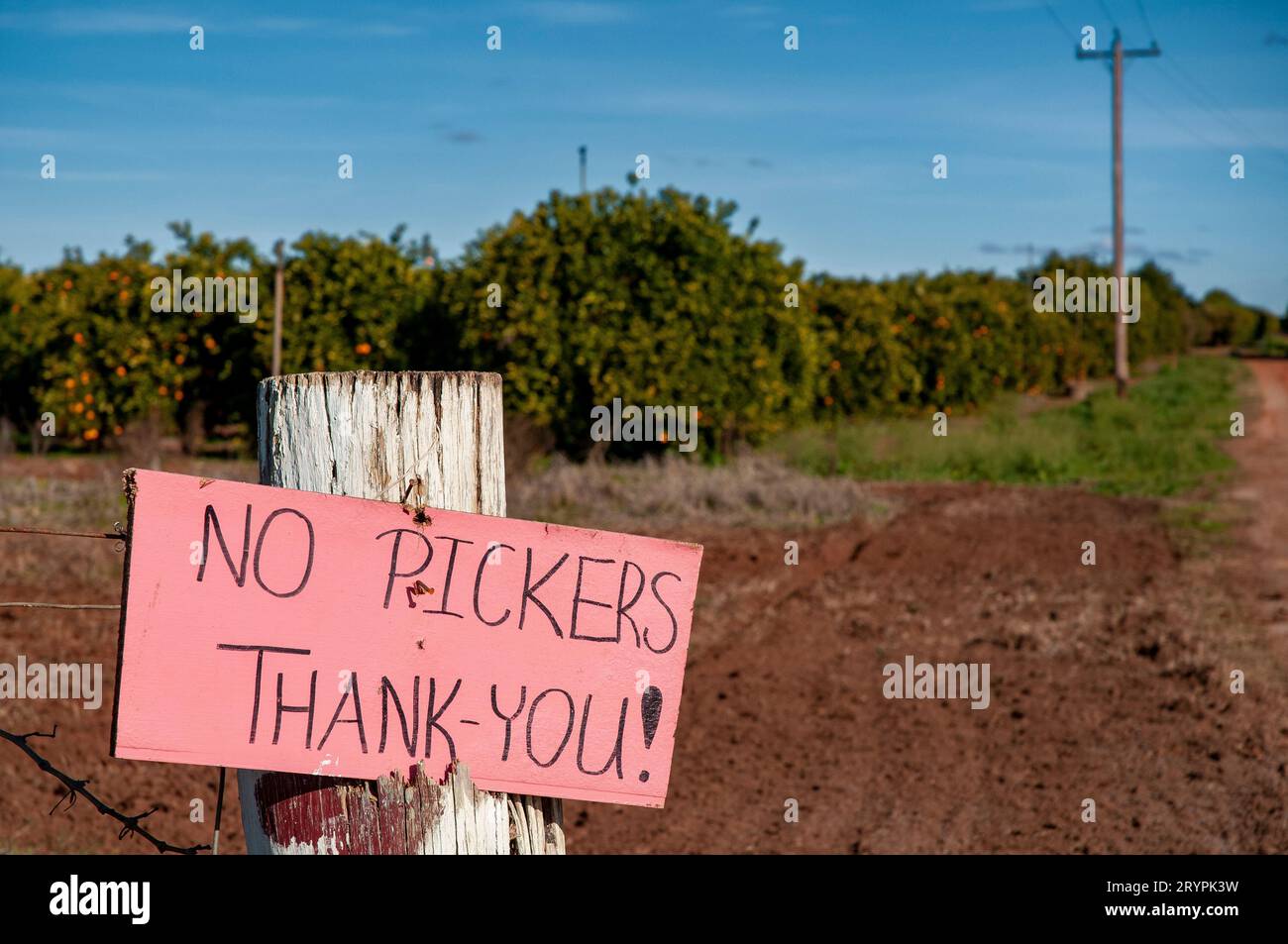 A no picker sign on the boundary fence of a Mildura orange grove Stock Photo