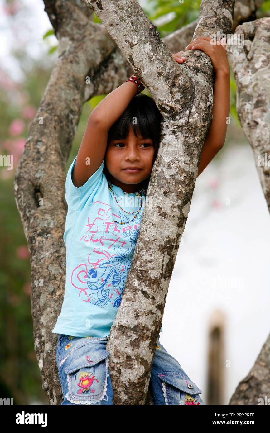 Portrait of an amerindian girl, Parati, Rio de Janeiro State, Brazil. Stock Photo