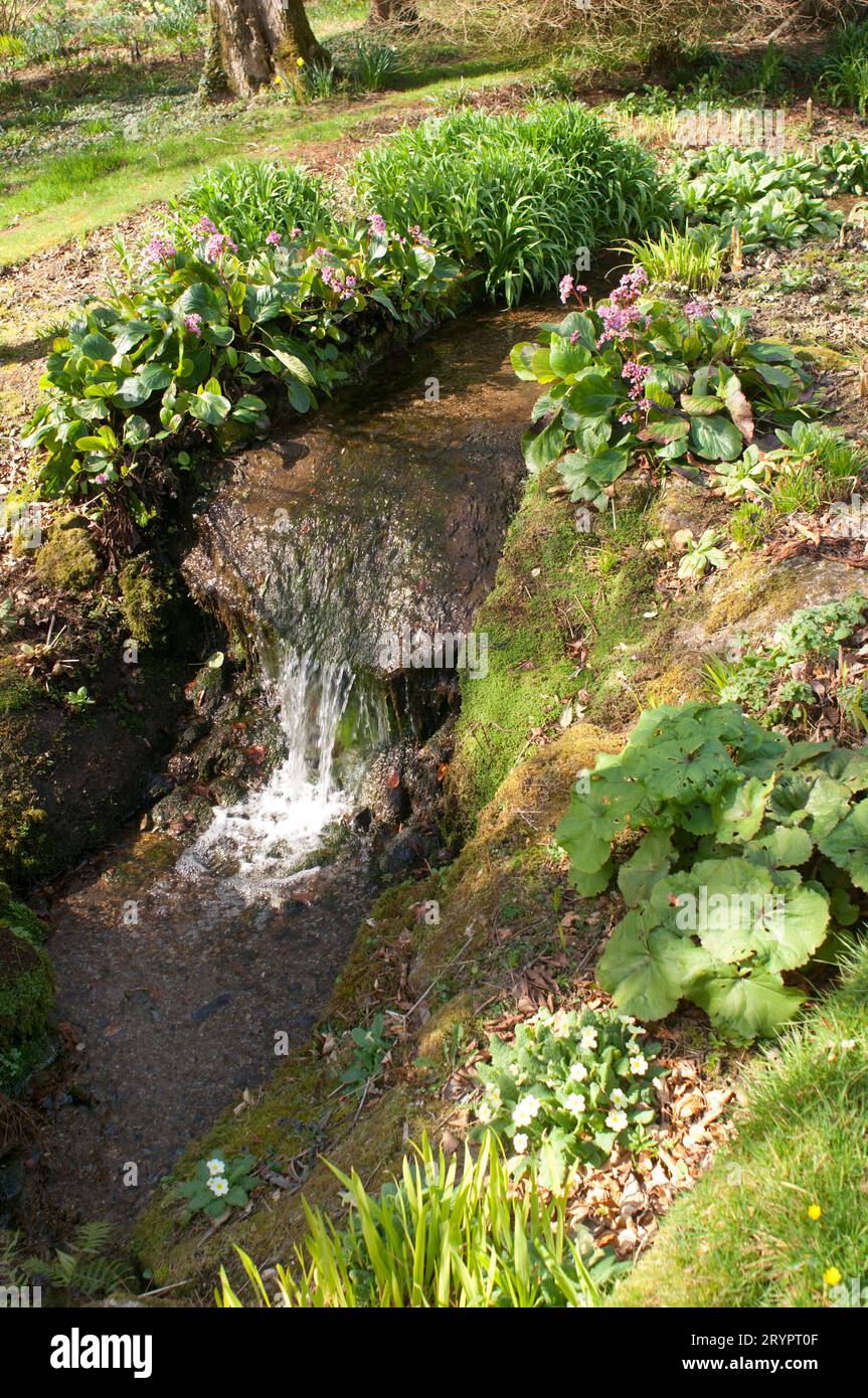 Small landscaped waterfall in a spring garden - John Gollop Stock Photo