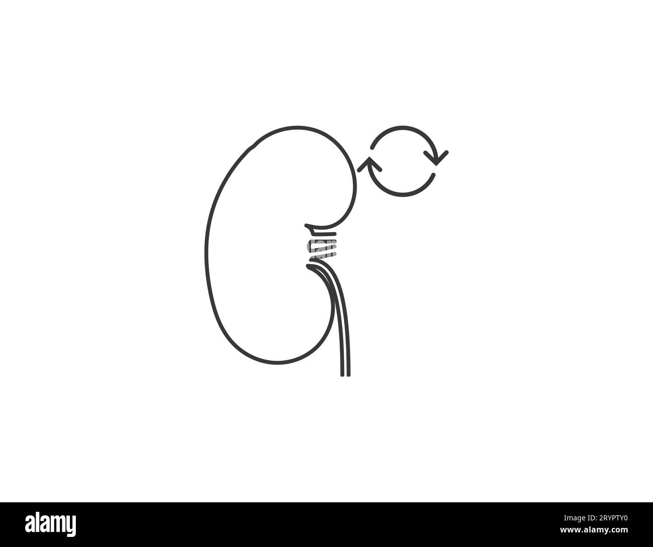 Human kidney transplant Black and White Stock Photos & Images - Alamy