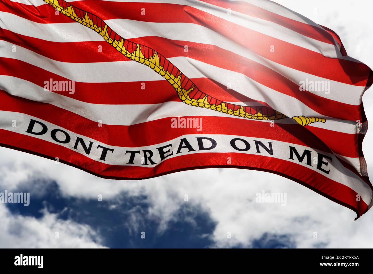 Dont tread on me flag hi-res stock photography and images - Alamy