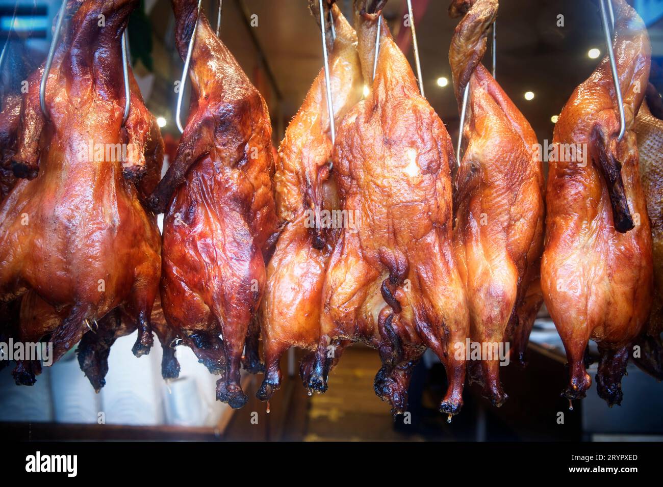 Close up of hanging roasted chickens in a store front window, Chinatown, San Francisco, CA. Stock Photo