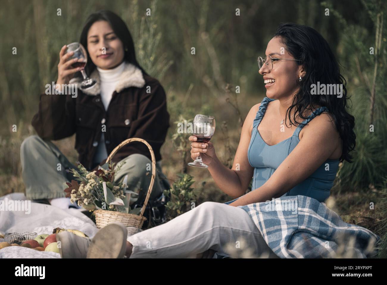 Beautiful women smiles with a glass of wine in hand on picnic day Stock ...