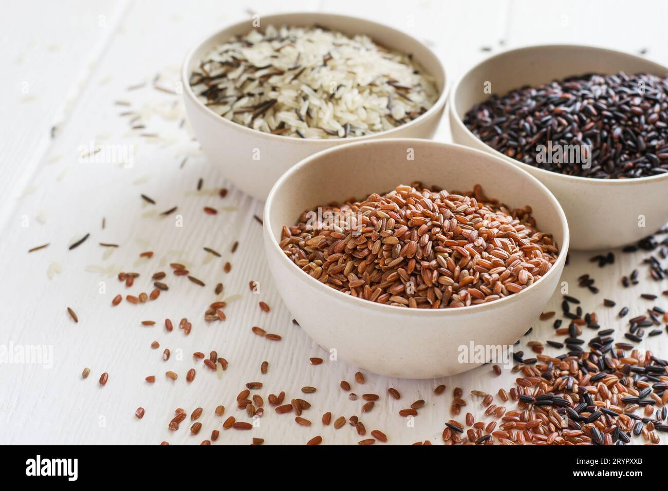Selection of variety of gourmet rice in bowls. Selective focus, copy space Stock Photo