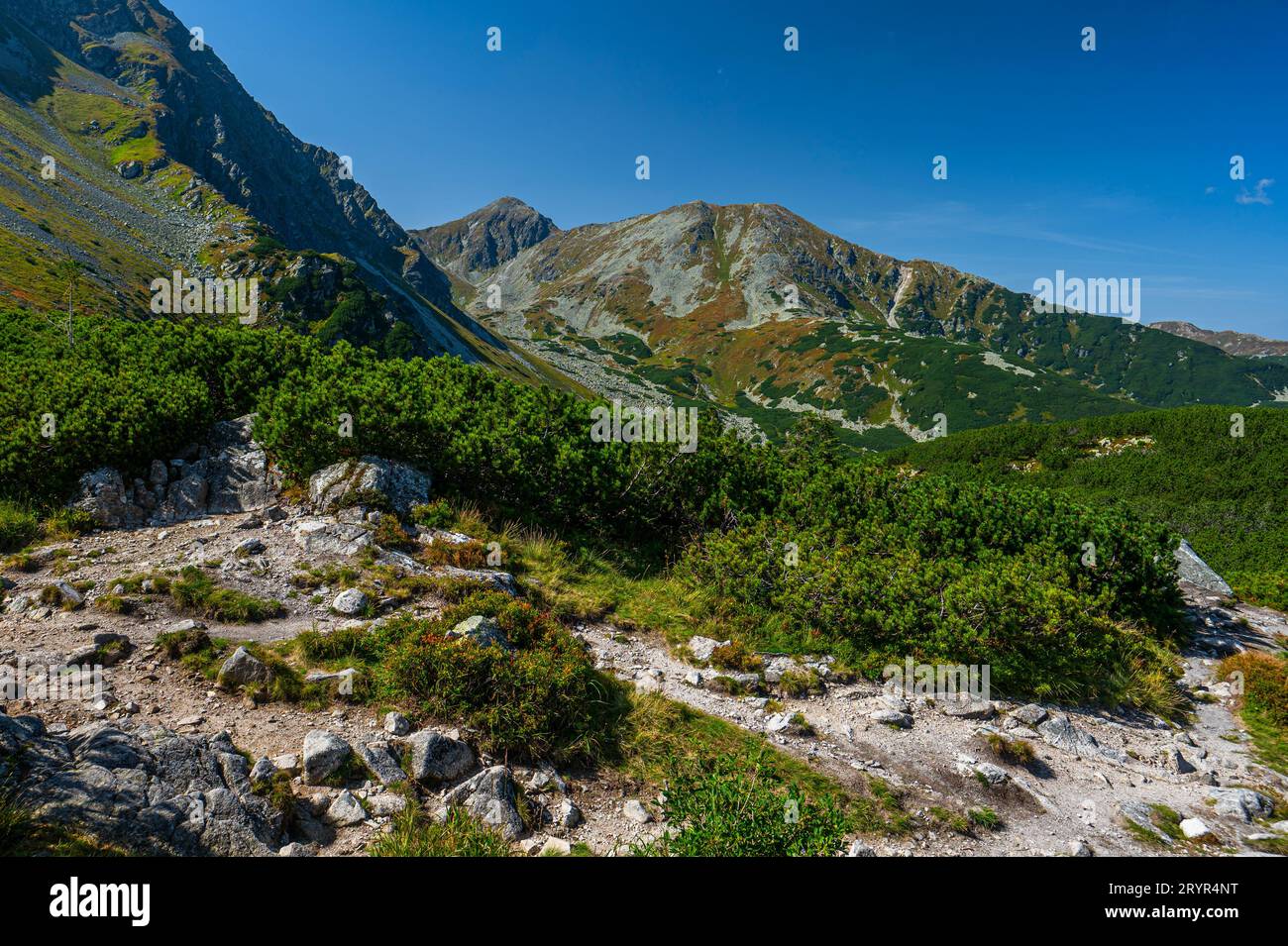 An autumn view of the Spalena Valley and the Mount Pachol. Western Tatras, Slovakia. Stock Photo