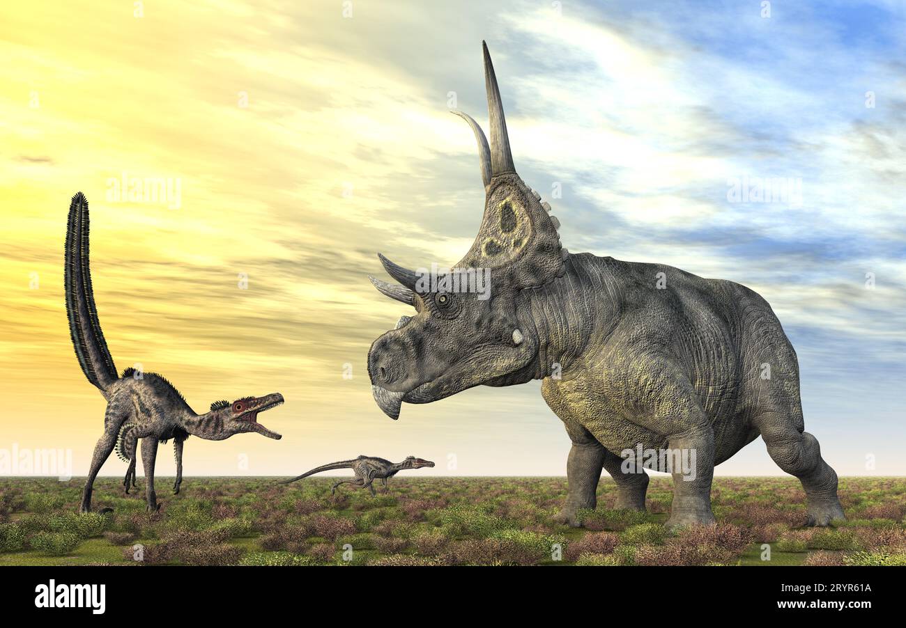 Velociraptor and Diabloceratops at sunset Stock Photo - Alamy