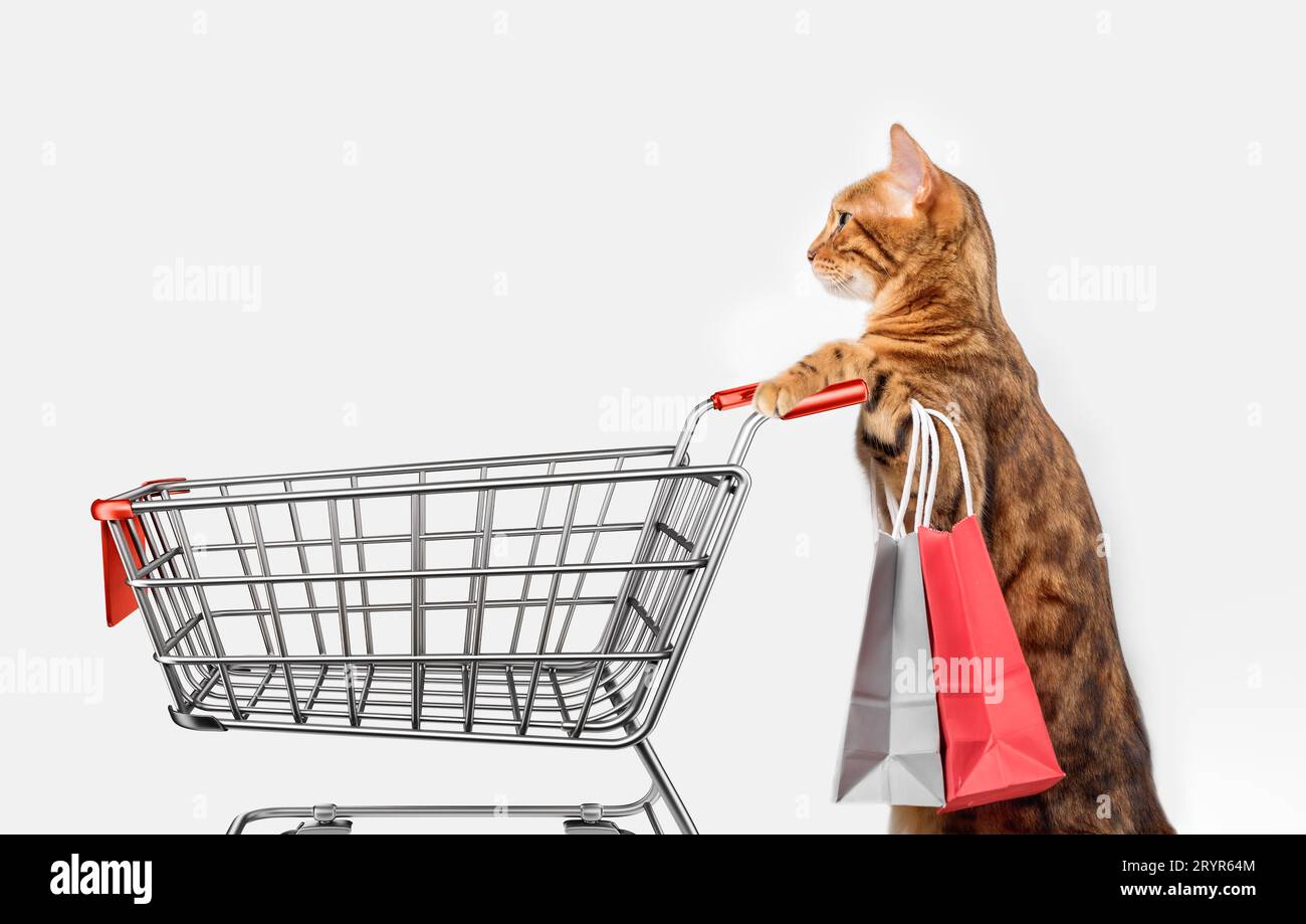Cat shopping cart hi res stock photography and images Alamy