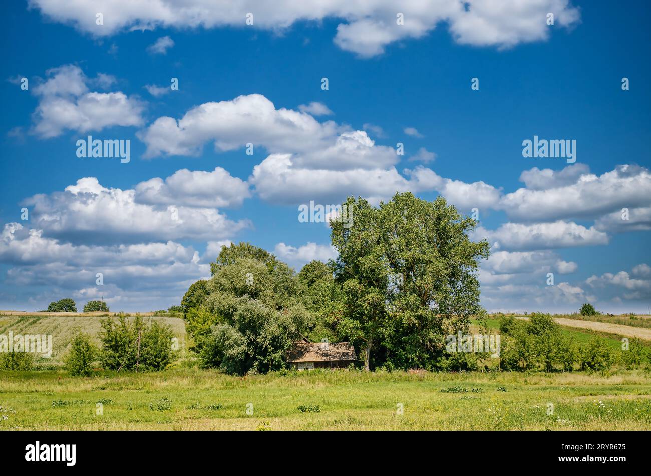 Bad Rural Background Summer rural landscape with lonely abandoned hut among trees. Blue sky ...