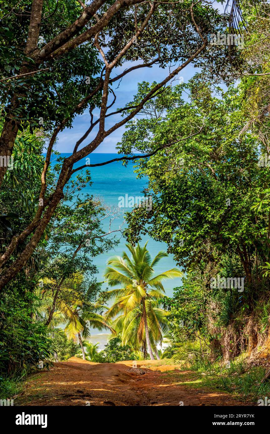 Small beach in Bahia surrounded by preserved rain forest Stock Photo
