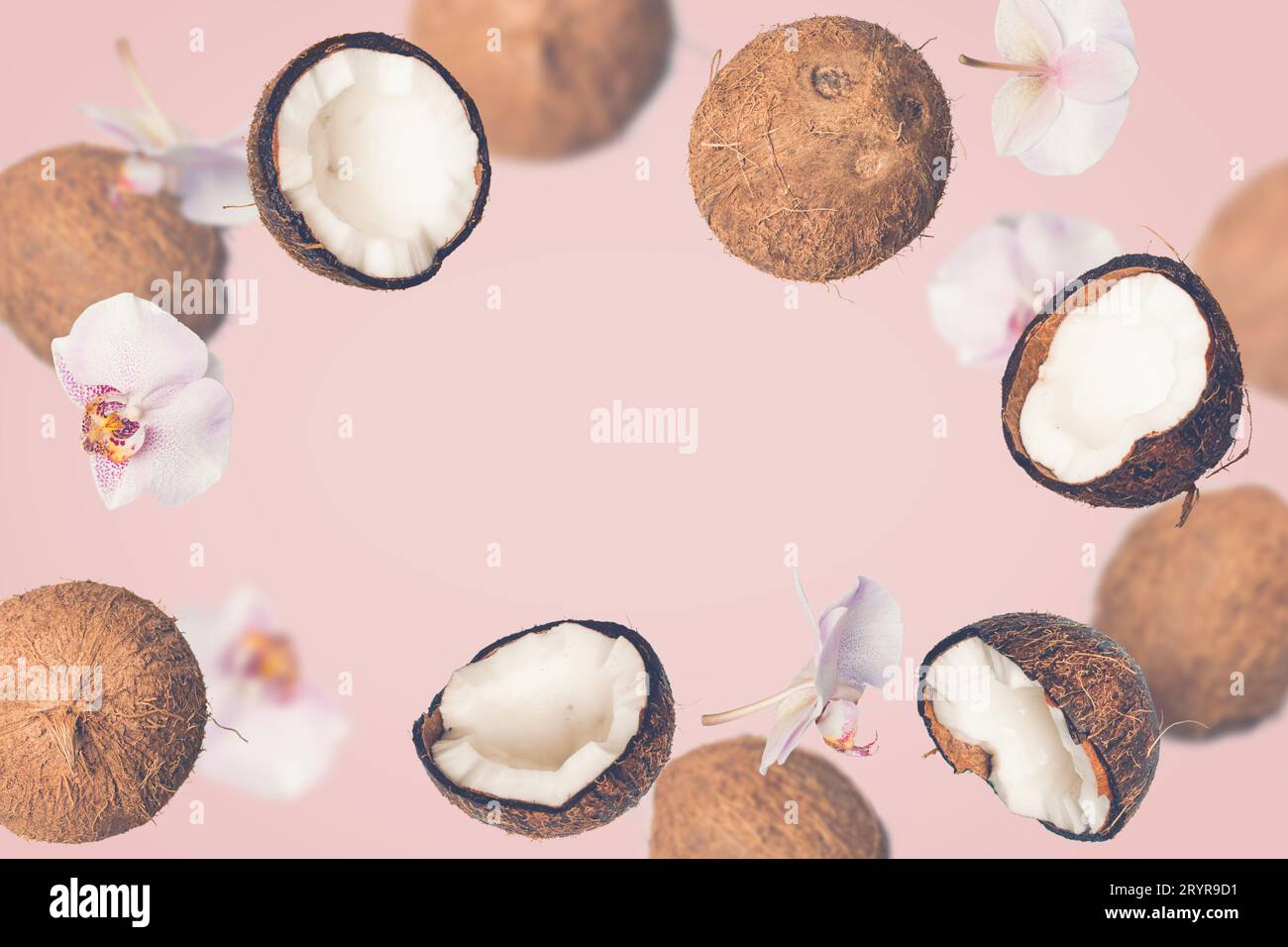 Pink tropical summer background with falling coconuts Stock Photo