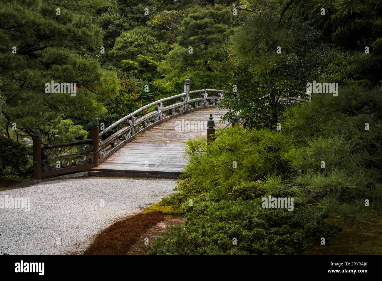 A picturesque small bridge spanning a pond in a lush park, featuring a wooden bench in the center Stock Photo