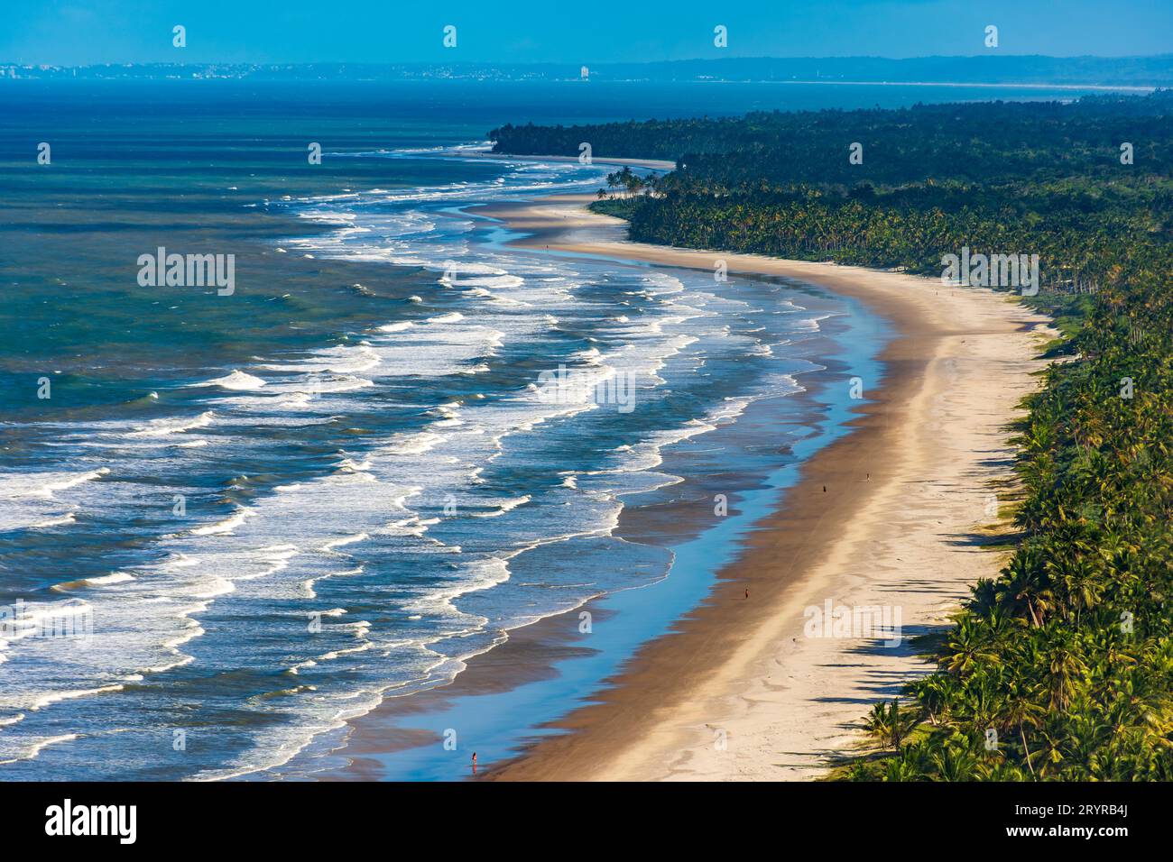 Top view of the beaches of Sargi and Pe de Serra with their coconut trees Stock Photo