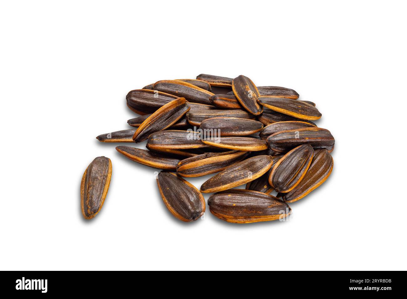 High angle view pile of salty roasted sunflower seeds isolated on white