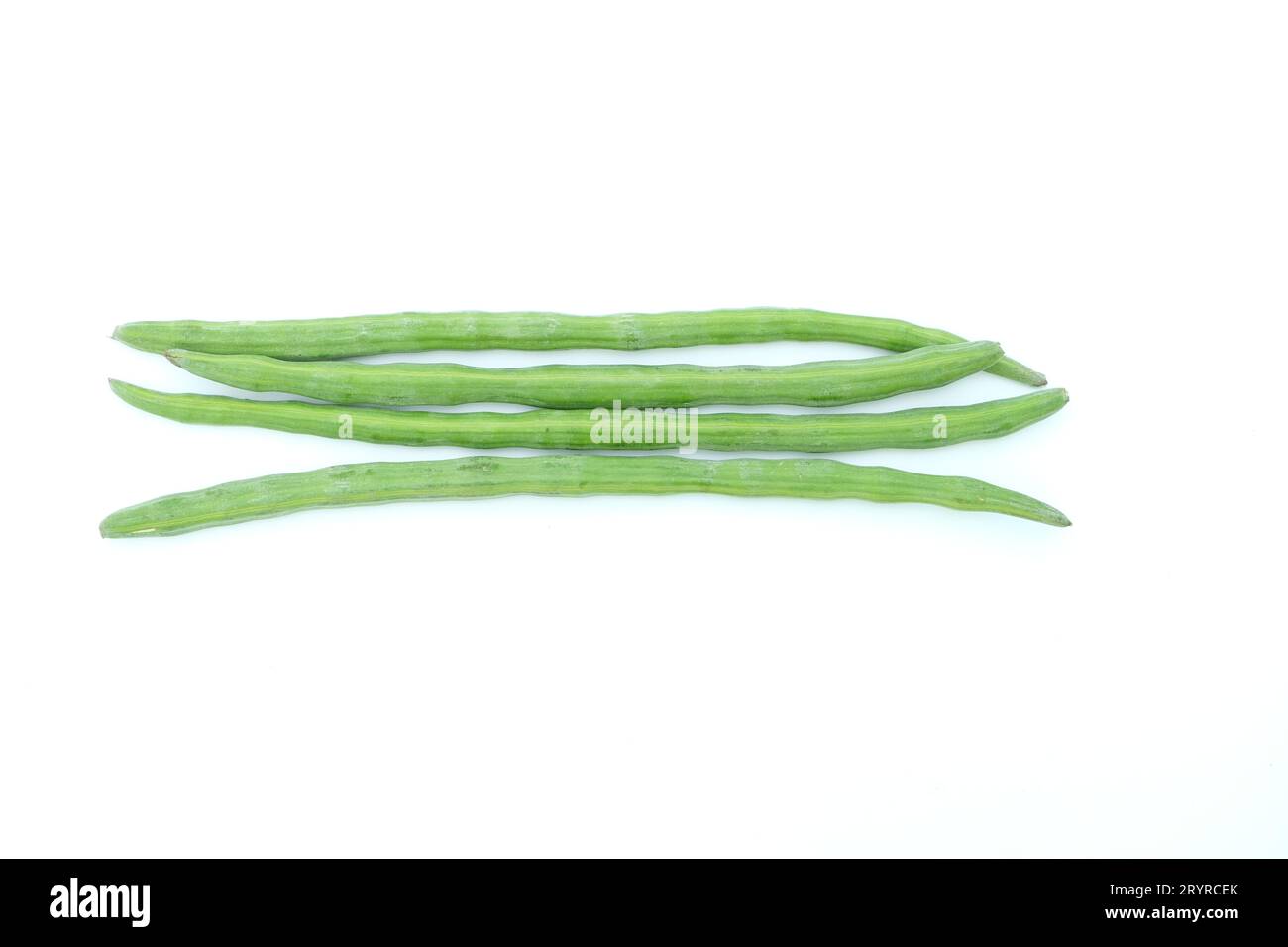 Moringa fruits isolated on white background with clipping path.top view,flat lay. four moringa seeds Stock Photo
