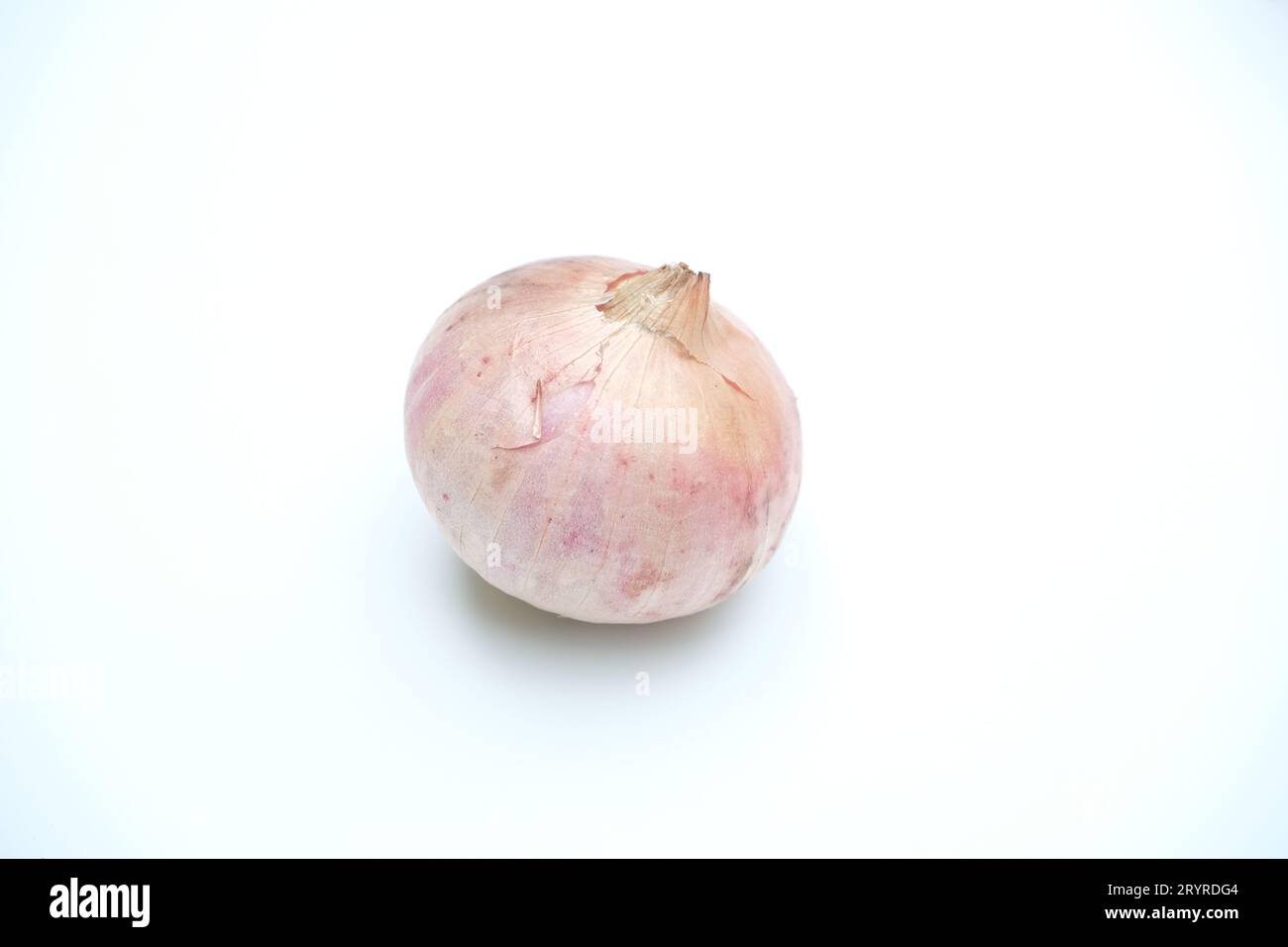 Single Onion isolated on white background Stock Photo