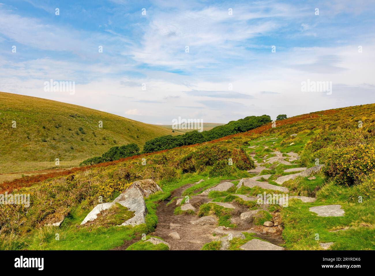 Wistman's Wood Dartmoor England, Stock Photo