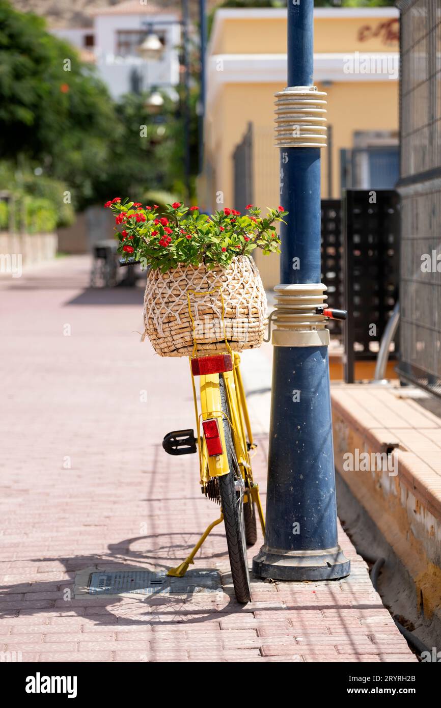A bright yellow bicycle left on a street. The bike has a rear wheel rack with a basket containing a red flowering plant Stock Photo