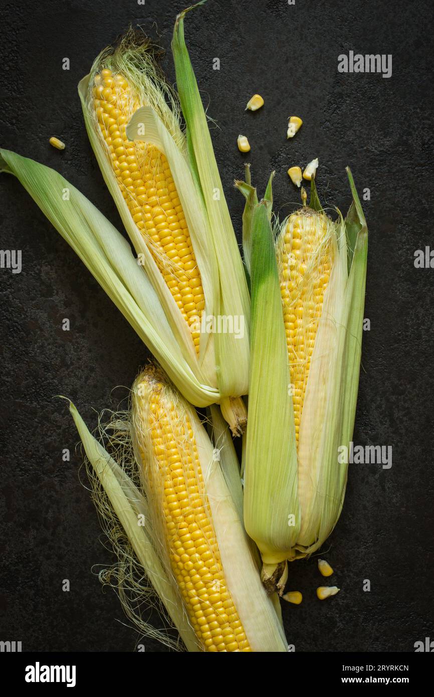 Ripe young sweet corn cob with leaves on black concrete background Stock Photo