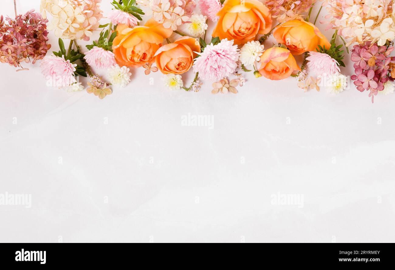 Autumn creative composition roses, hydrangea flowers on gray background. Fall, autumn background. Stock Photo