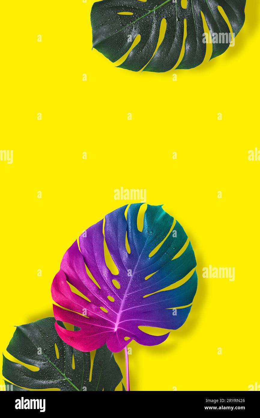 Creative saturated background. Dissimilarity art concept Stock Photo