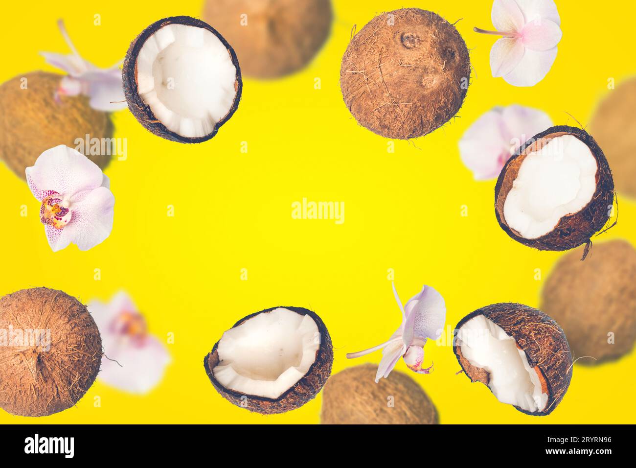 Yellow tropical summer background with falling coconuts Stock Photo