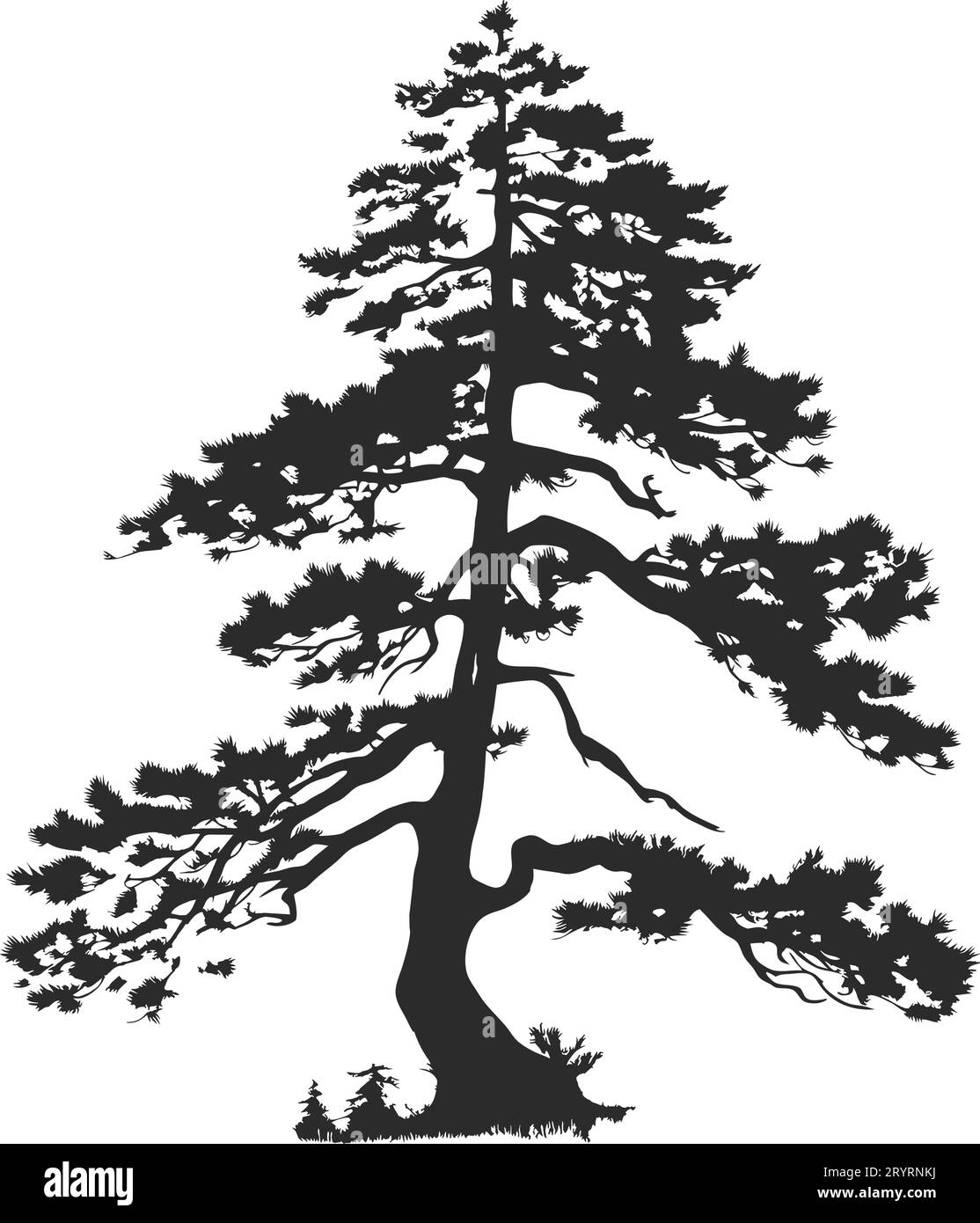 tree pine silhouette tattoo, logo cypress tree evergreen, cedar forest