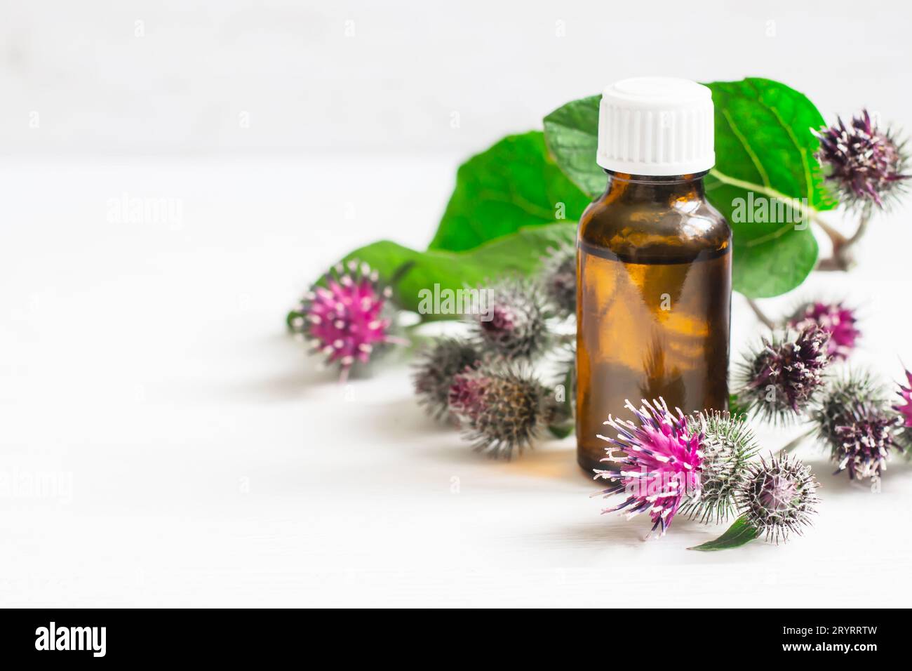 Agrimony burdock Essential oil In small bottle. Flowers spikes and  leaves Stock Photo