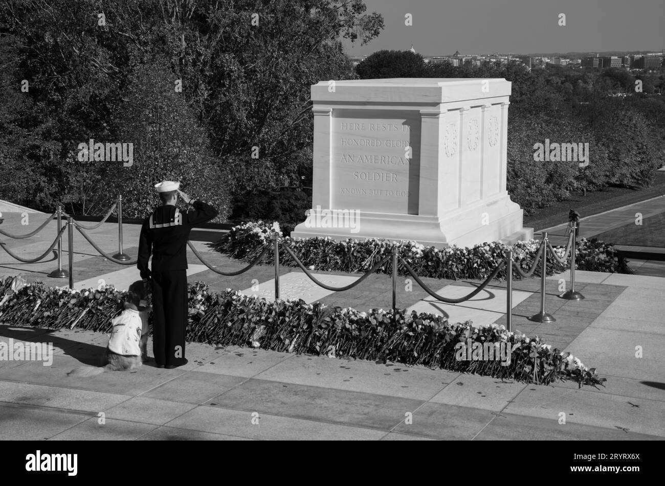 a closeup of The Tomb of the Unknown Soldier surrounded by flowers in Vietnam Stock Photo