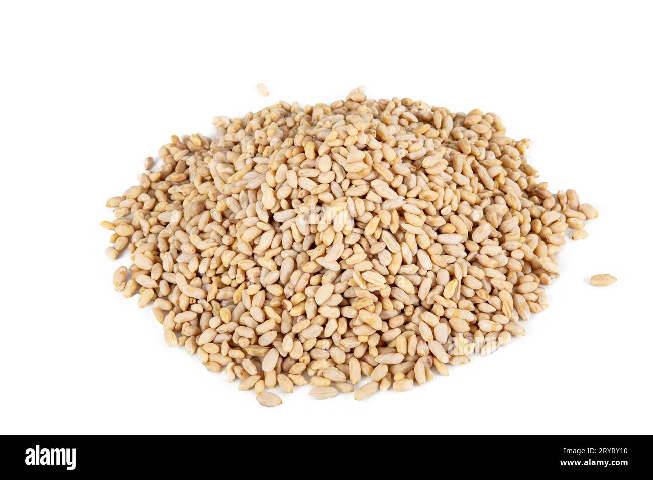 Pine Nuts Near Me The Ultimate Guide to Pine Nuts