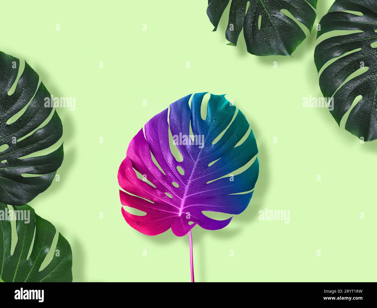 Creative saturated background. Dissimilarity art concept Stock Photo