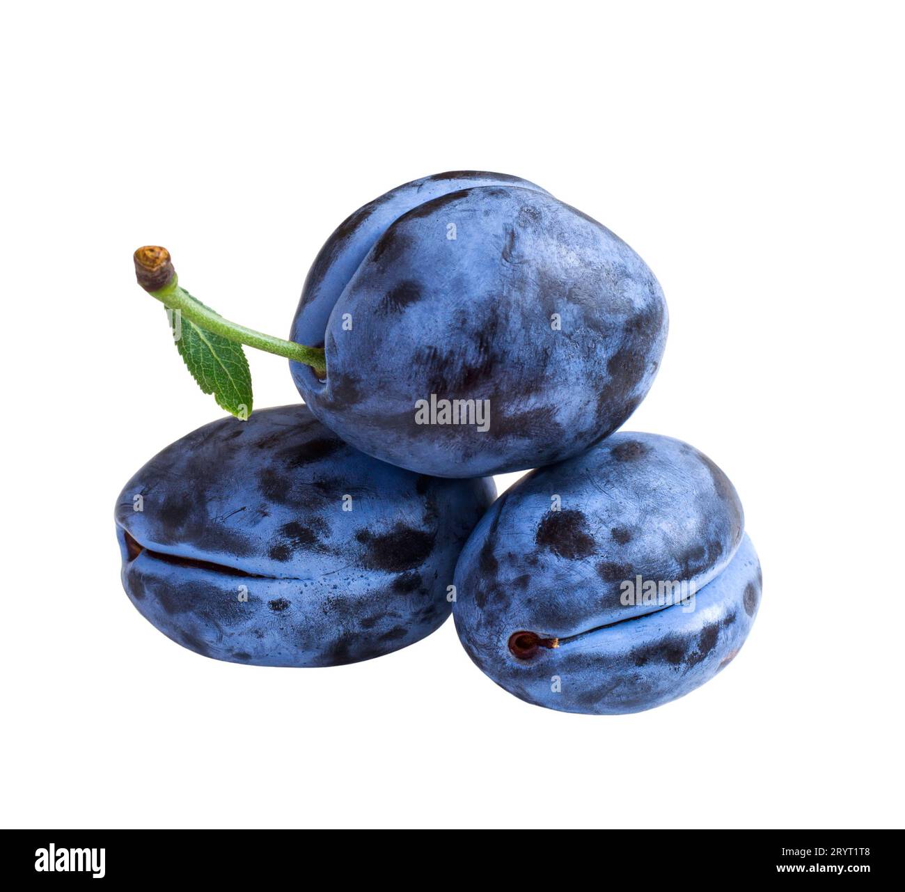 Three dark blue plums  isolated on white background Stock Photo