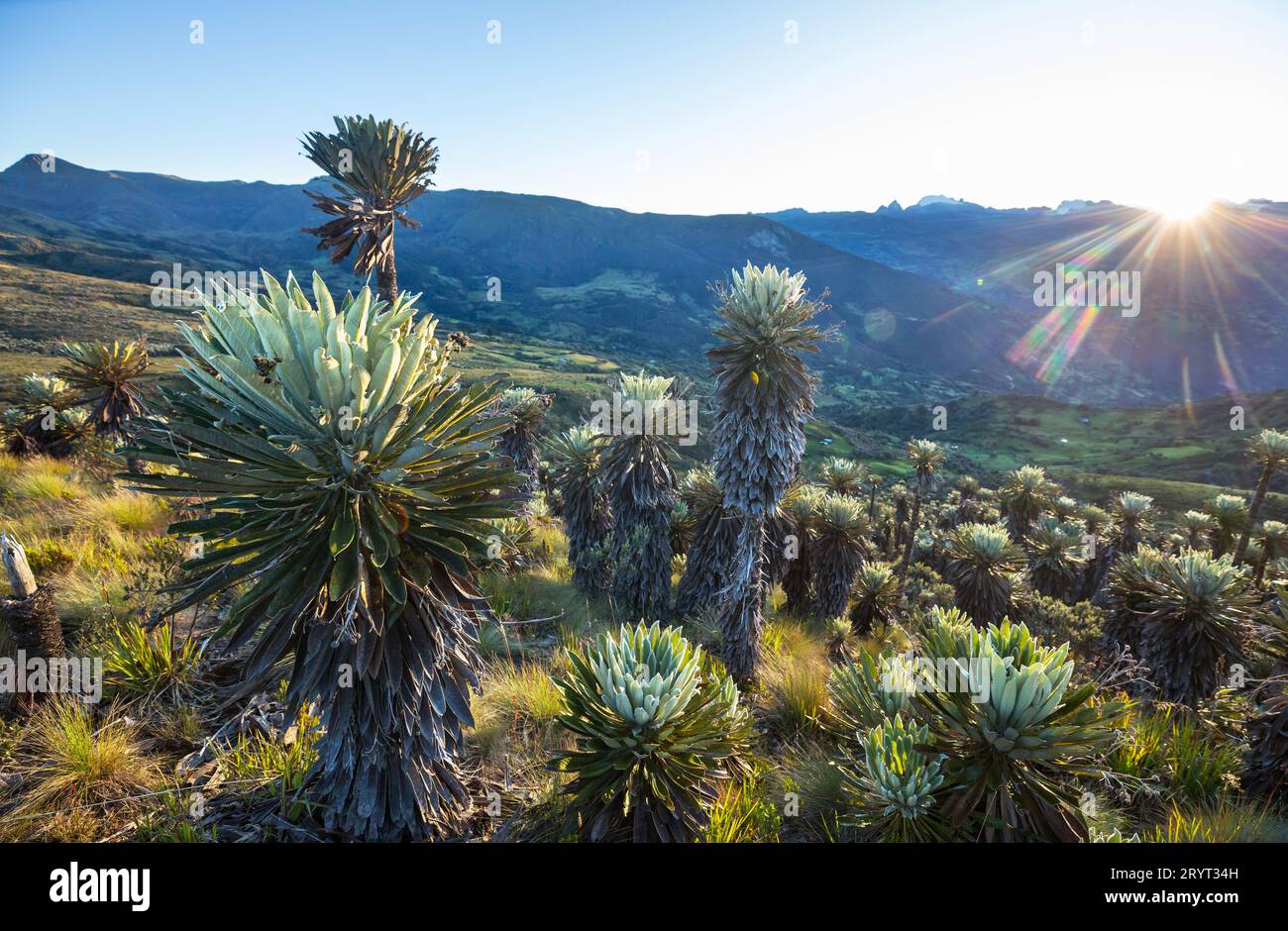 Beautiful landscape in Colombia, South America Stock Photo