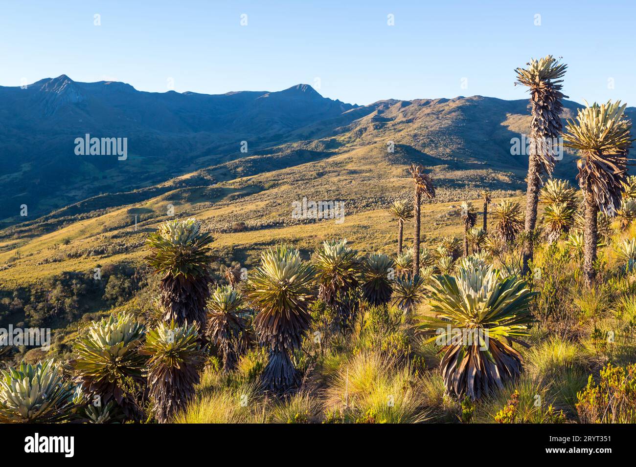 Beautiful landscape in Colombia, South America Stock Photo