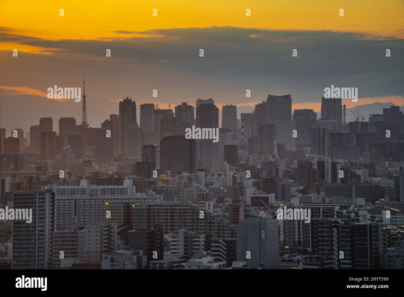 Tokyo townscaned at dusk Stock Photo