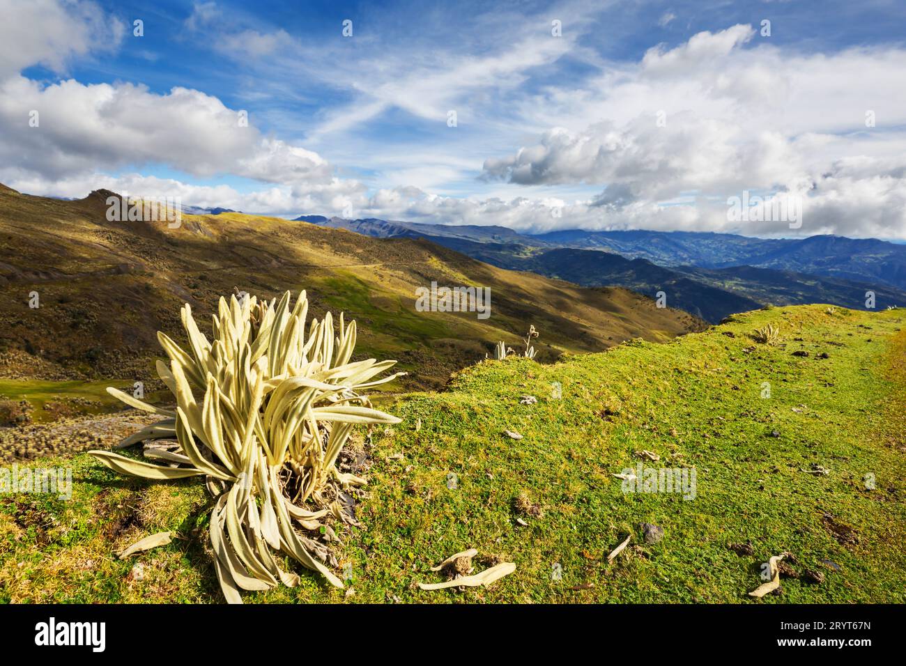 Beautiful colombia hi-res stock photography and images - Alamy