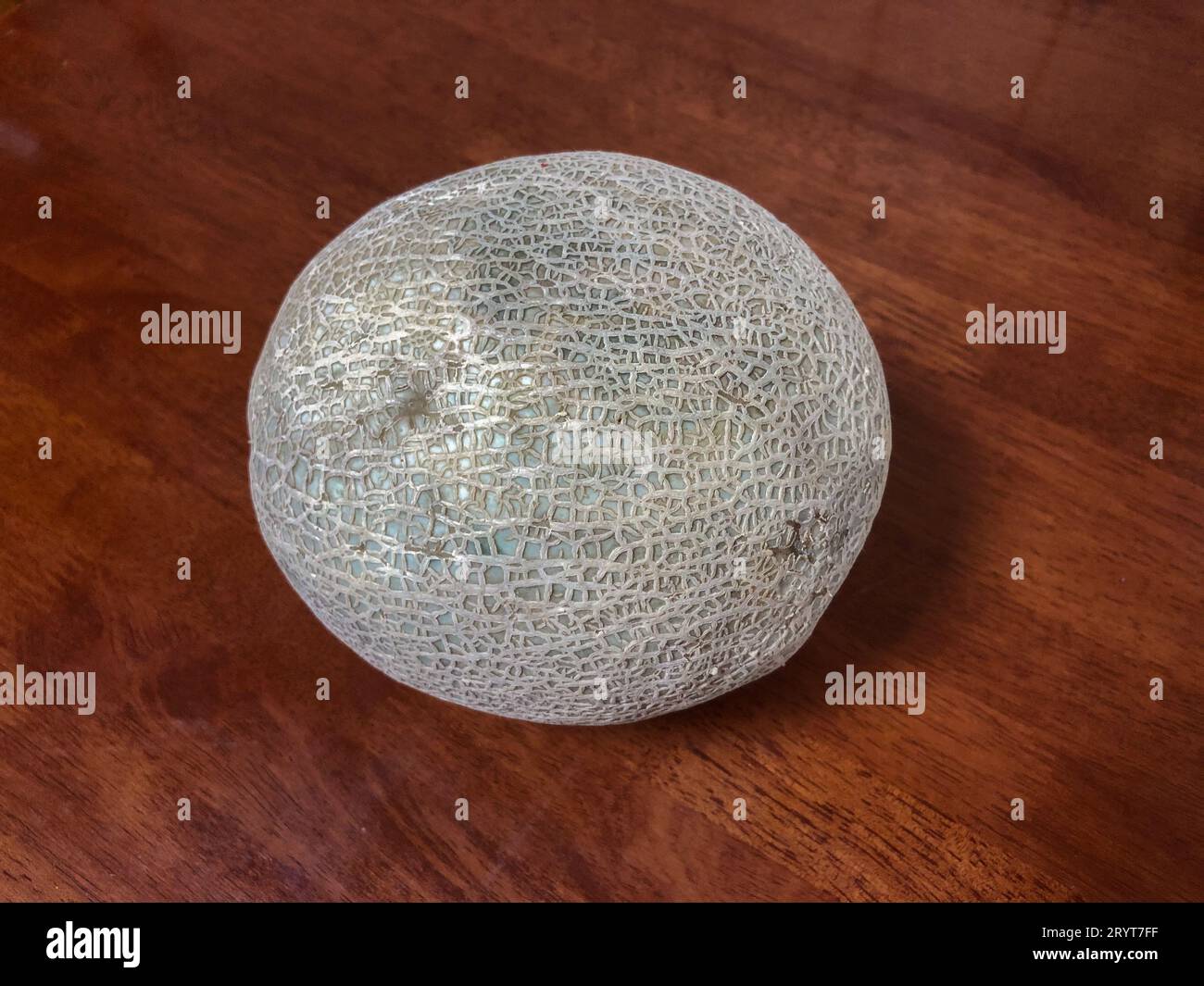 View of a Cantaloupe, also called Rockmelon, sweet melon or Spanspek