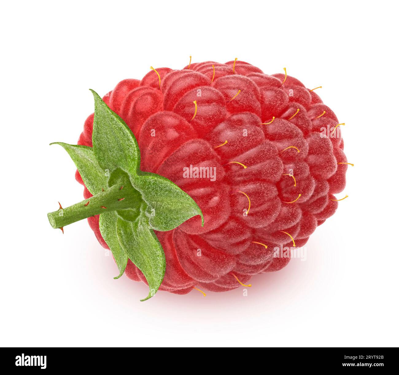 One raspberry isolated on white background, full depth of field Stock Photo