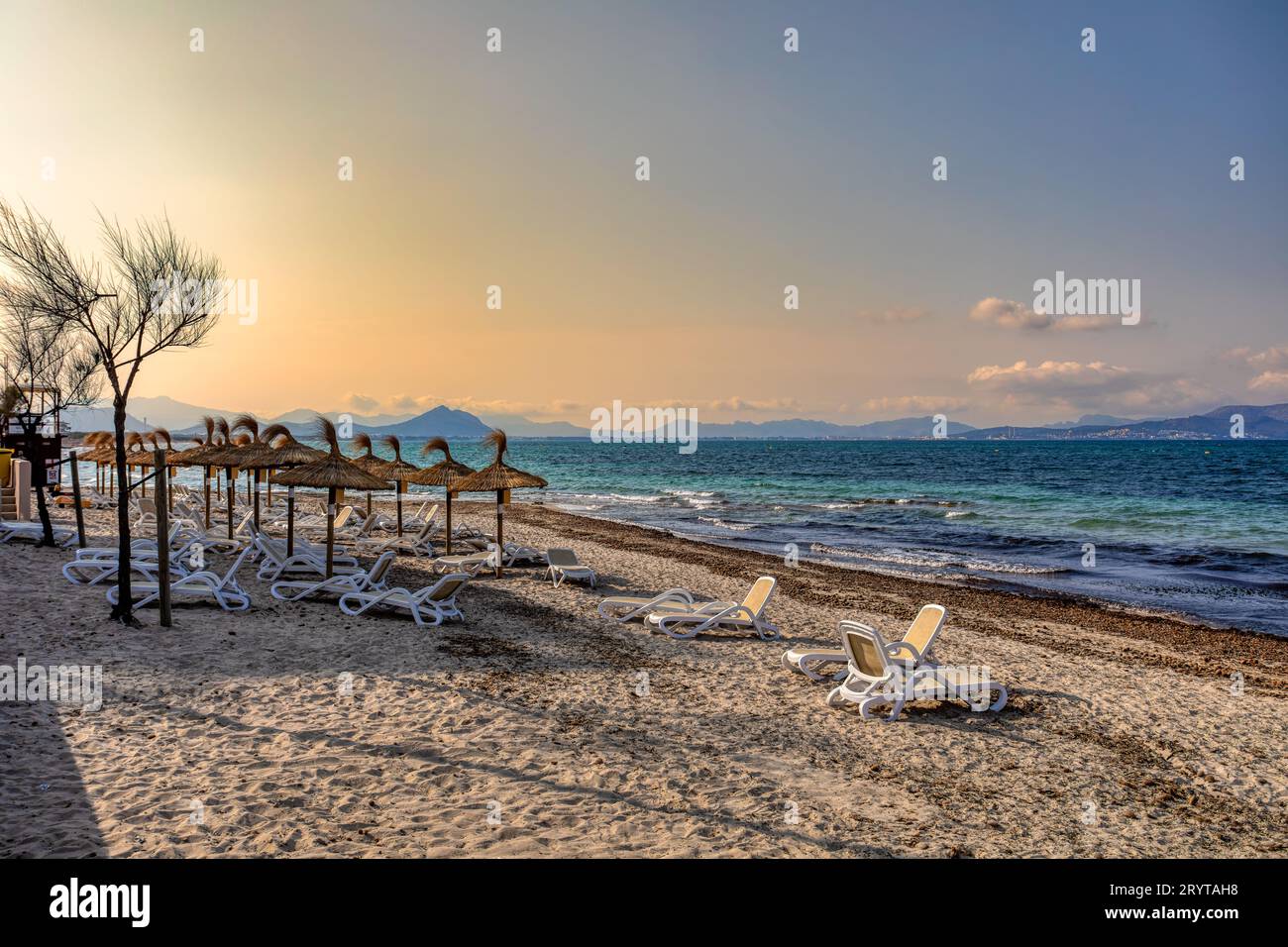 Can Picafort Beach with straw umbrellas and sun loungers, Can Picafort ...