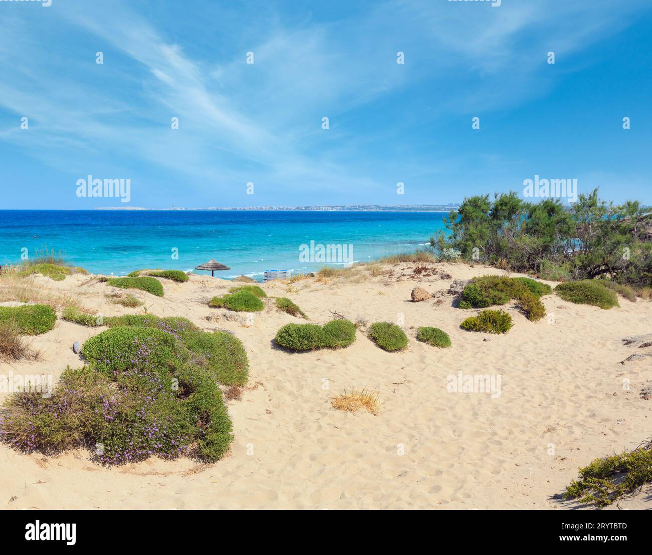 Beach Punta Della Suina Salento Italy Stock Photo Alamy Beach punta della suina salento italy stock photo alamy