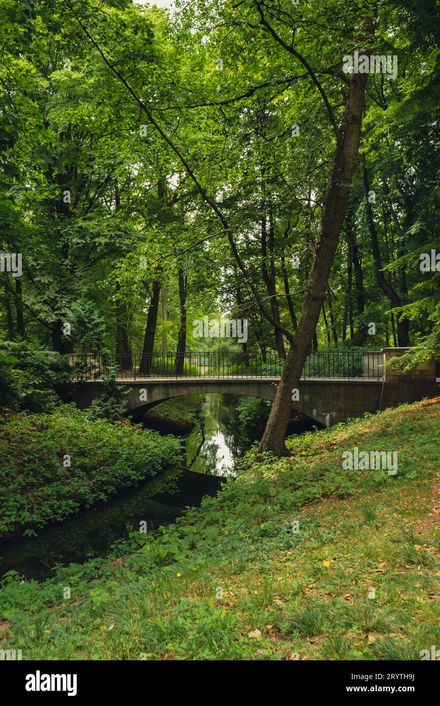 Colorful green scenery in forest park with bridge and small river. View ...