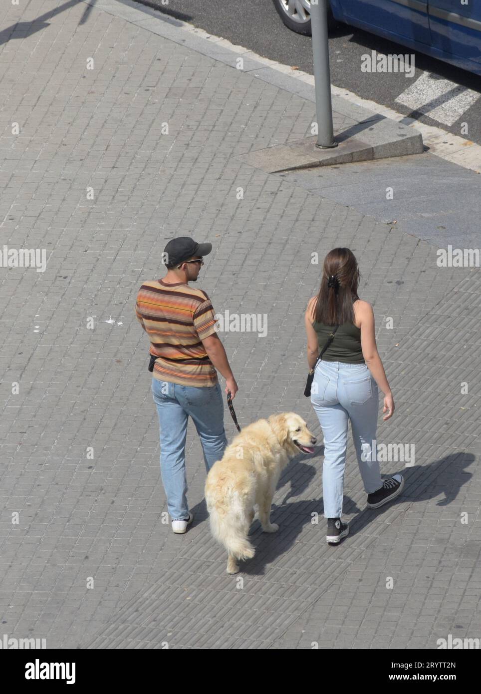 Rear view of a couple walking their dog in a street. Stock Photo