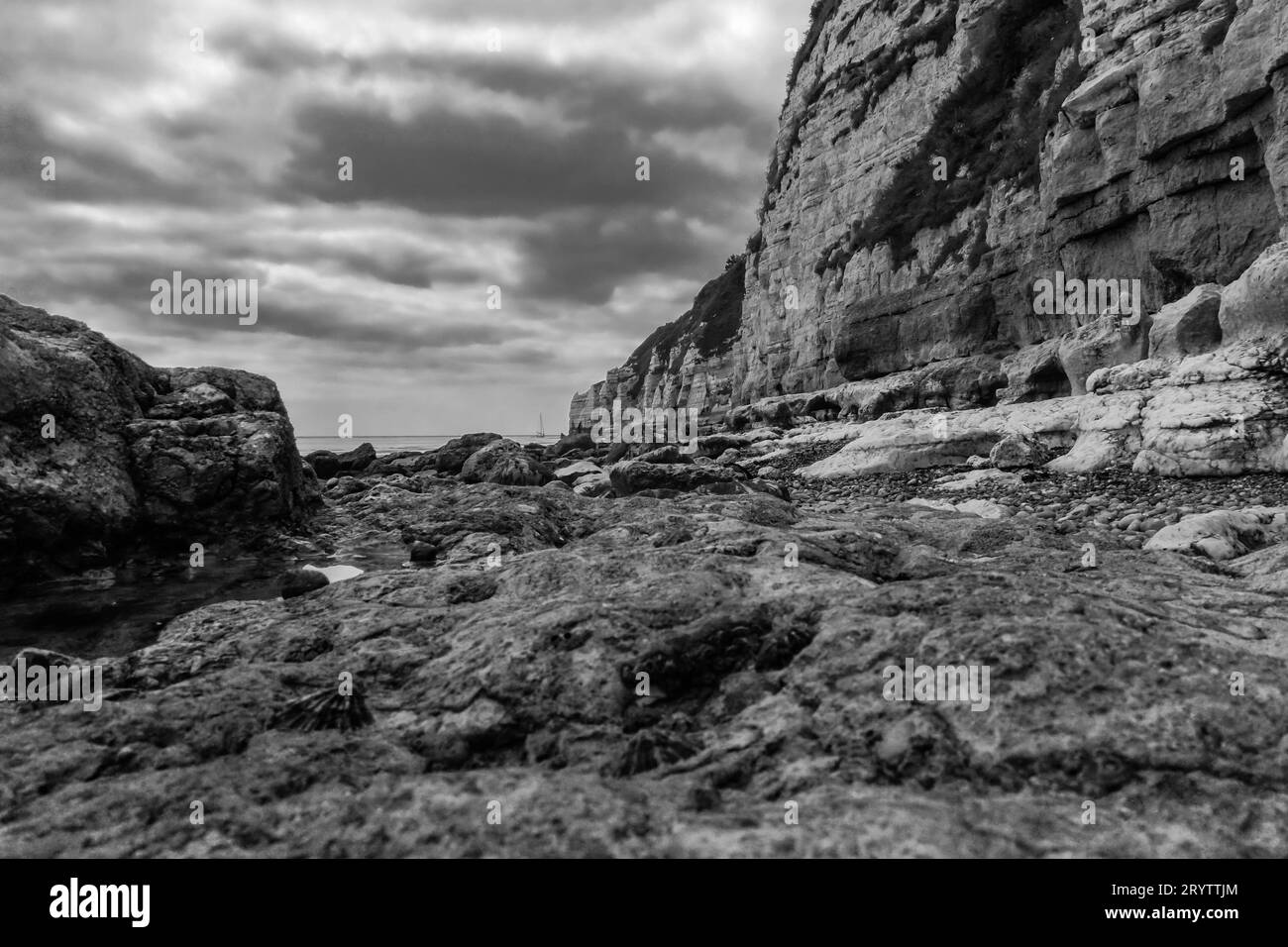View along rocky outcrop and the sandstone cliffs of Beer beach Devon UK July 2023 Stock Photo